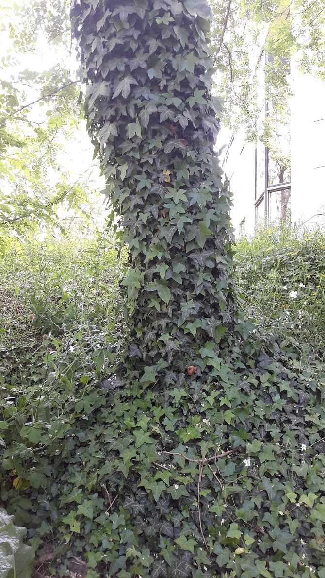 Annexe interactions.jpg