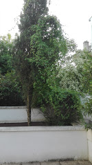 Annexe IMG_20180521_191159.jpg