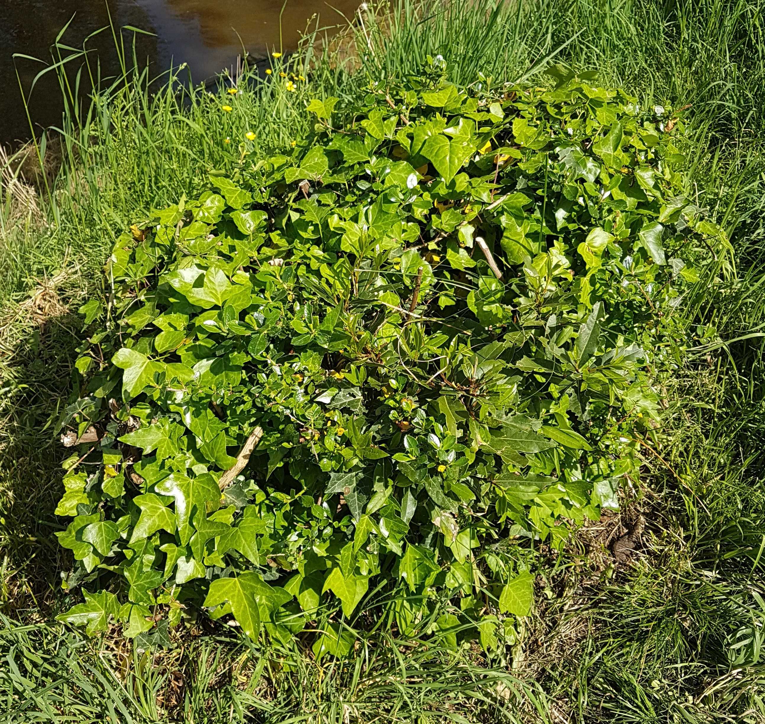 4 compétiteurs en course