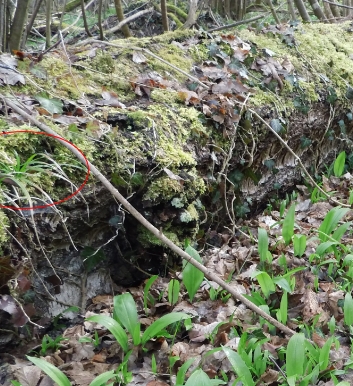 InteractionDansLeTemps