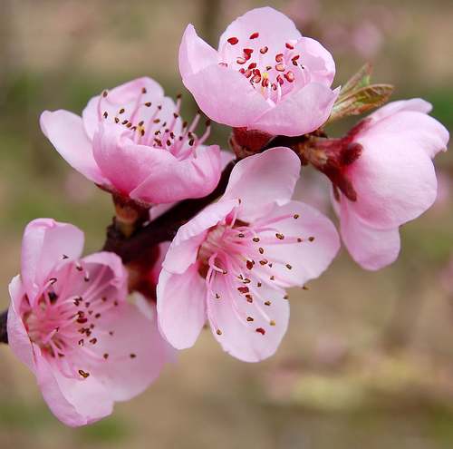 Annexe Zvpq3tgwz6Q2-vCYknPSUXqFvFQ.jpg