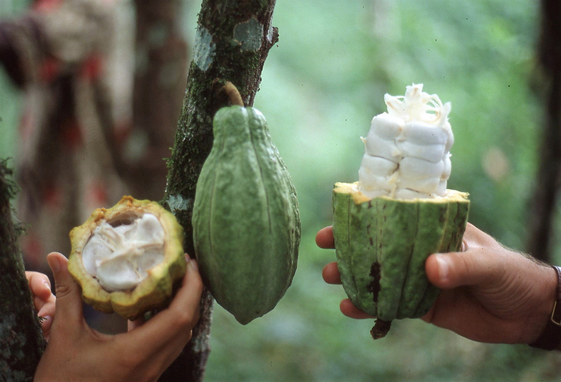 Annexe 92_TOGO021.jpg