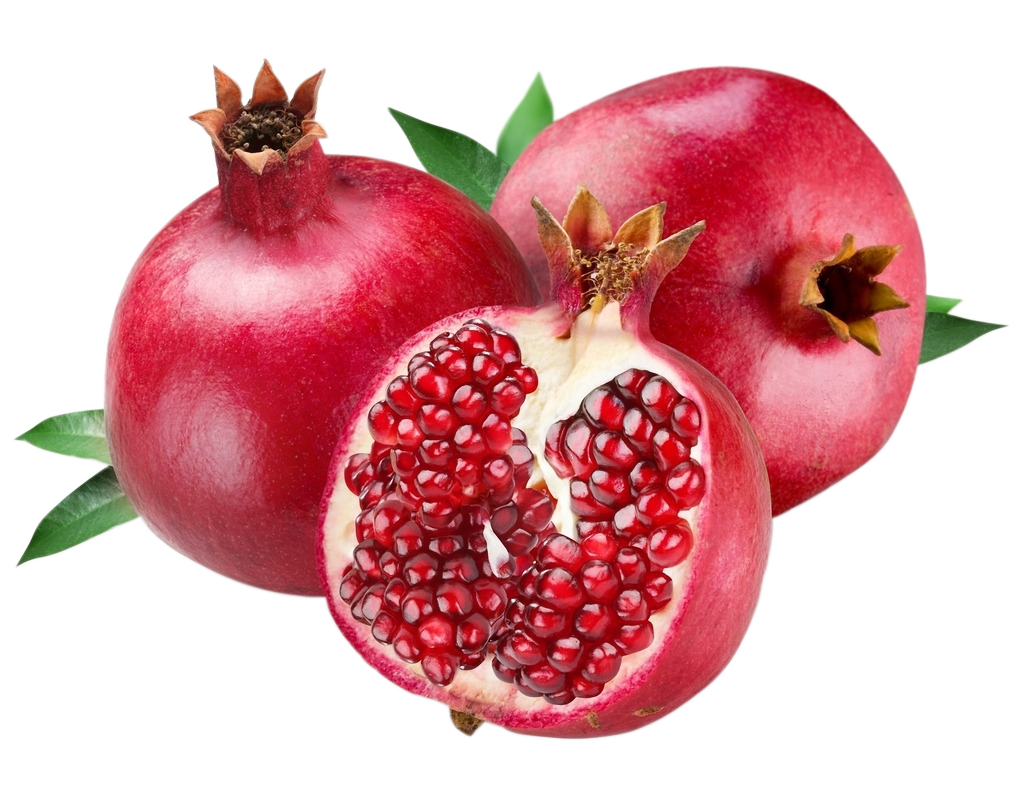 Annexe la grenade.png