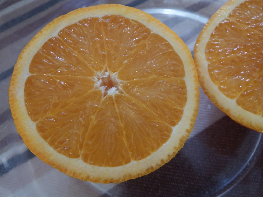 Annexe DSCF3112b orange.jpg