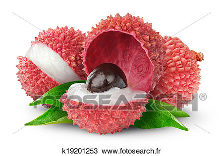 Annexe lychee-banque-de-photo__k19201253.jpg
