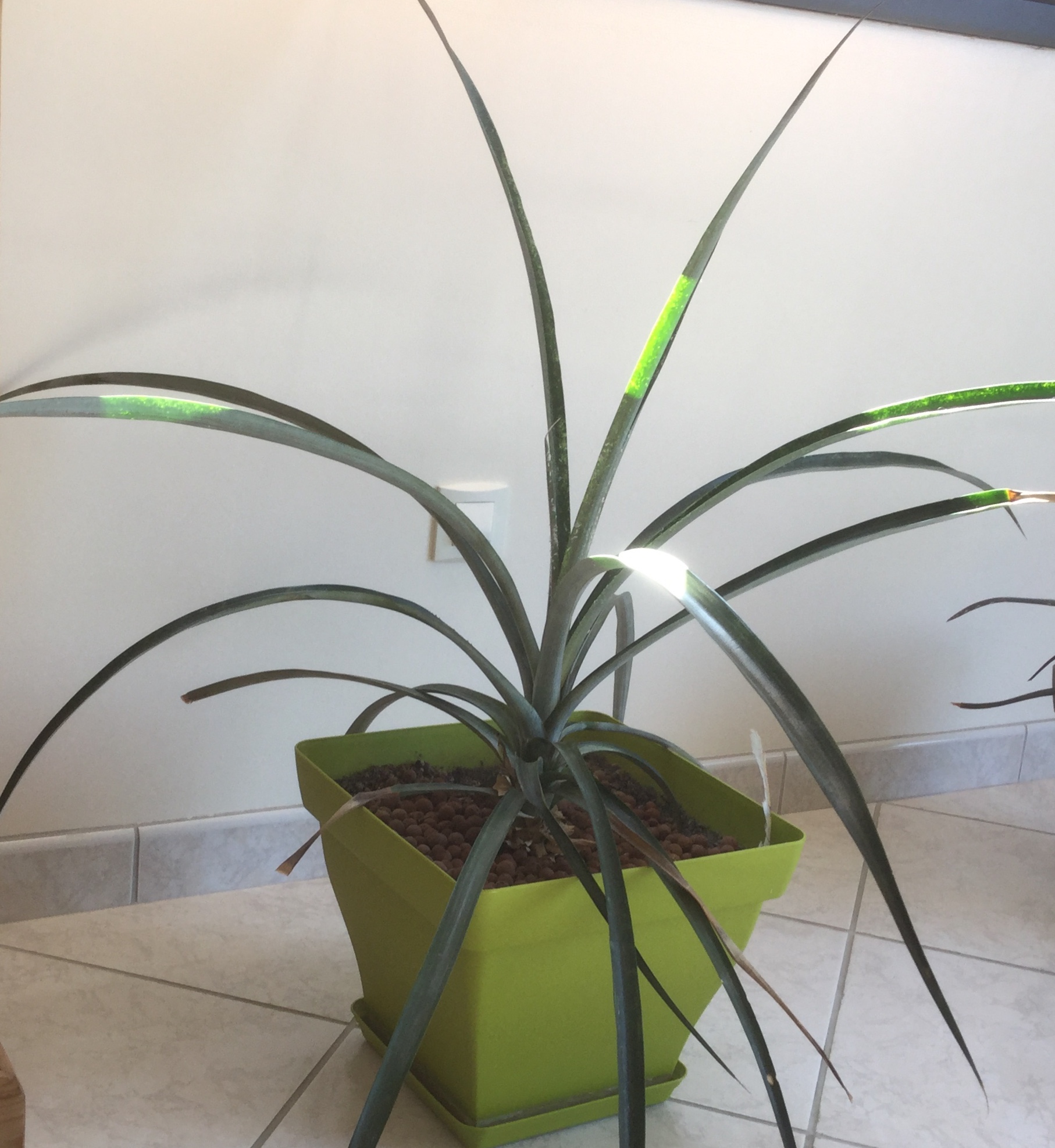 Annexe 24687325-C644-460E-8BD0-6EF39BC562B0.jpeg