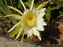 Annexe 220px-HPIM0069.JPG