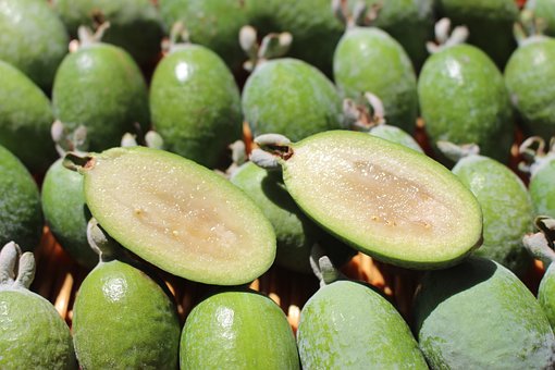 Annexe feijoas-3309771__340.jpg