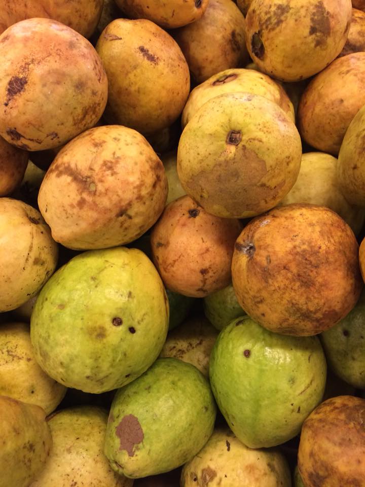 Guava