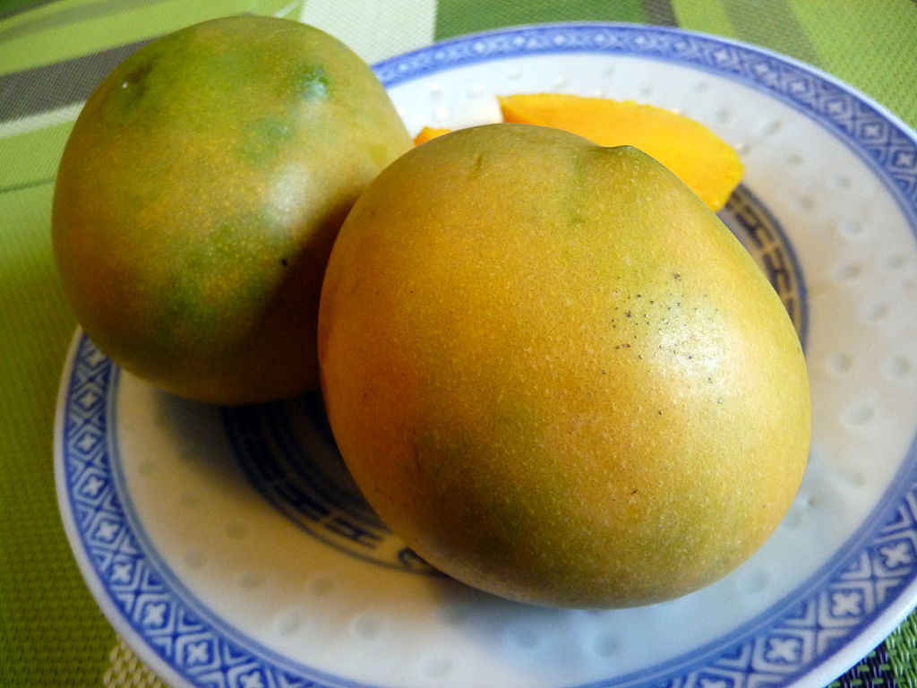 mangue