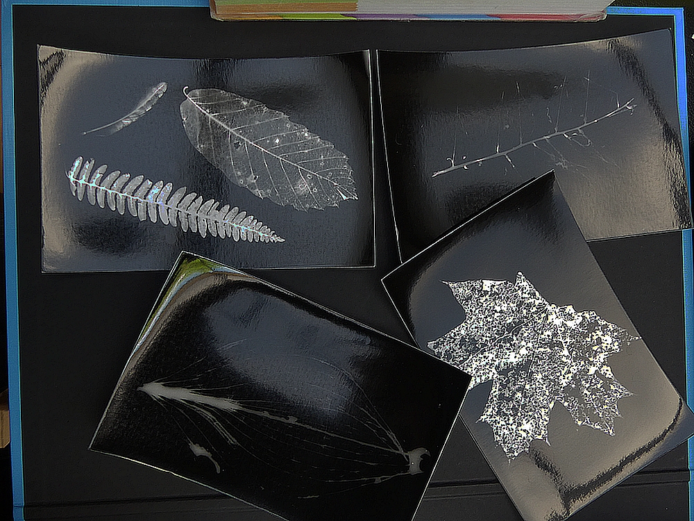 Annexe P1040478_17316_20150424.JPG