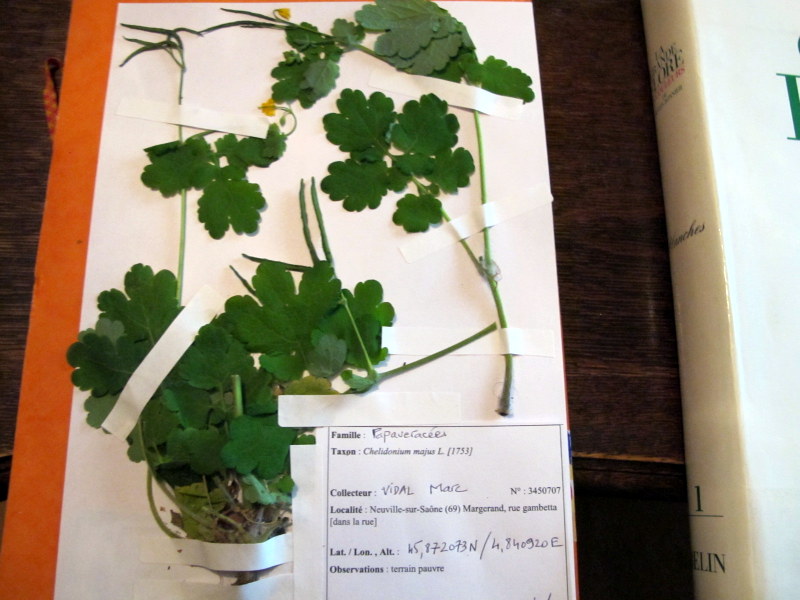 Annexe IMG_2944-001.JPG