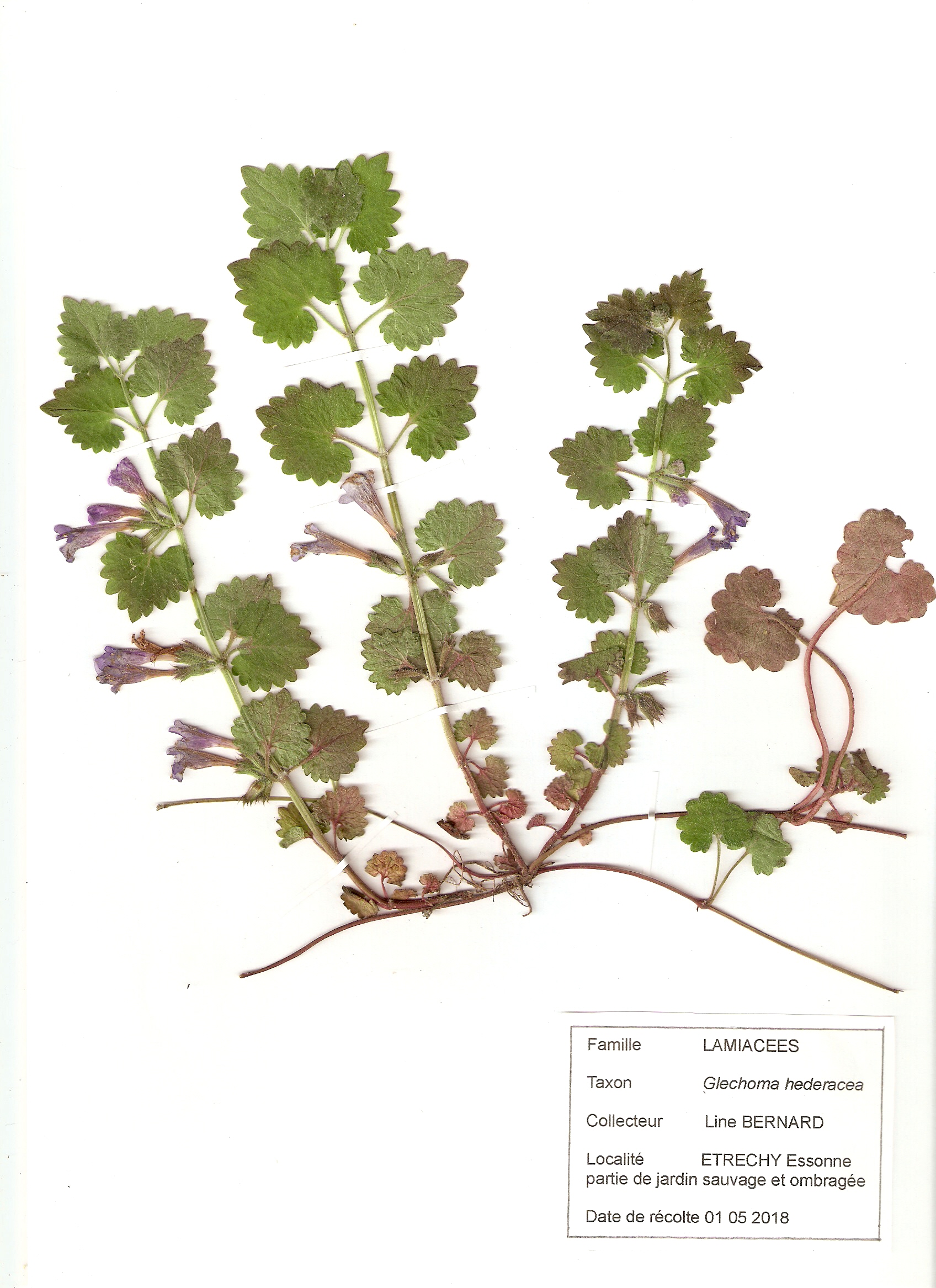 Annexe numérisation0005.jpg