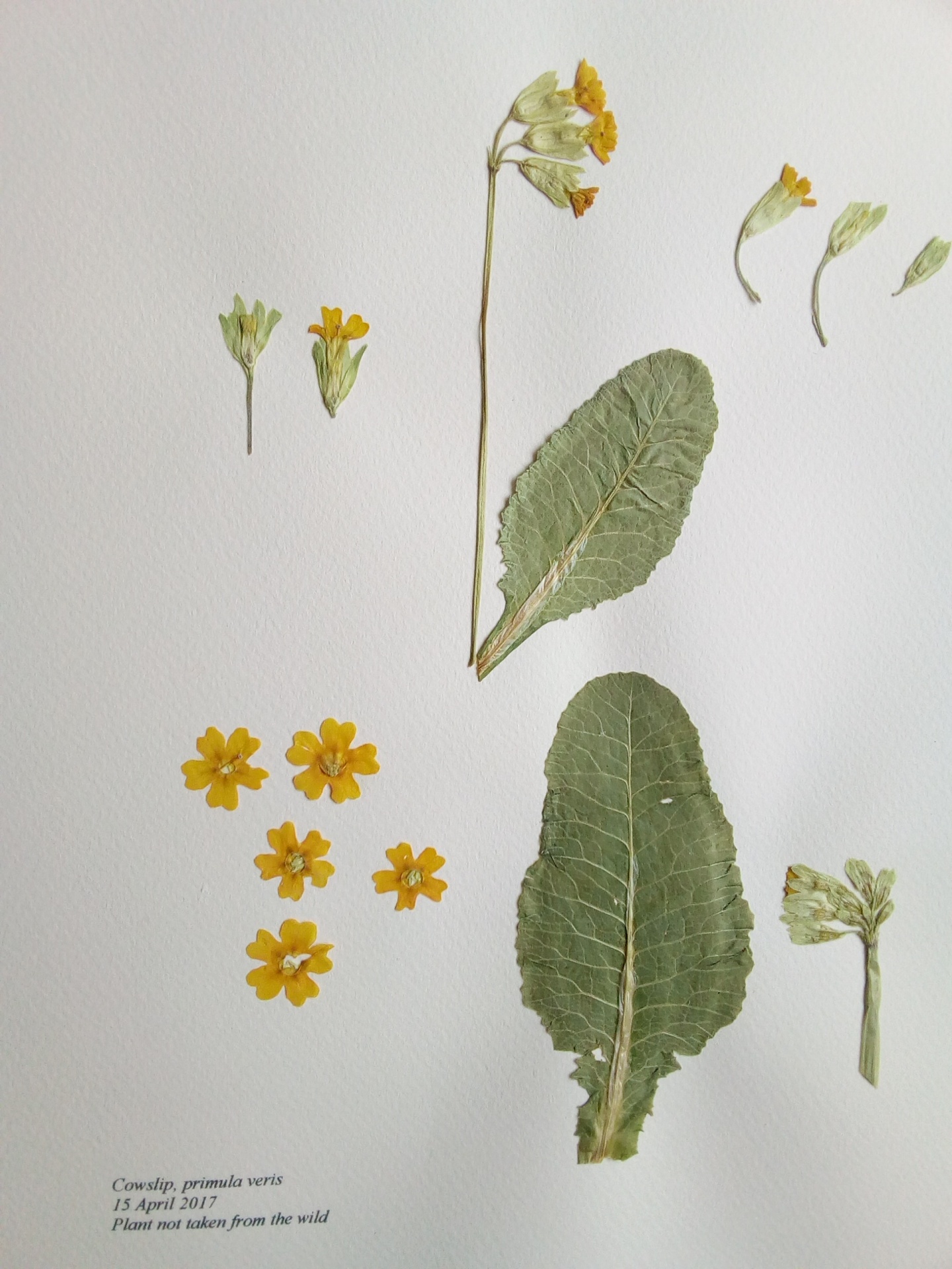 Annexe 012 reduced.jpg