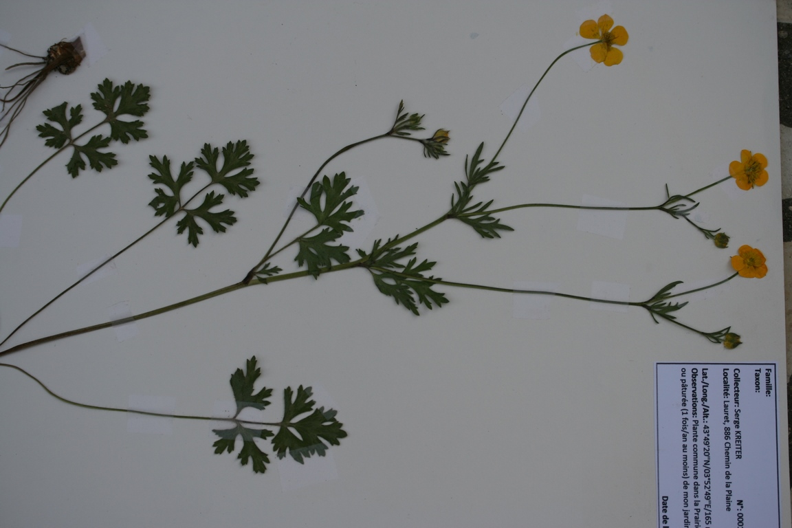 Annexe IMG_1806 (Copier).JPG