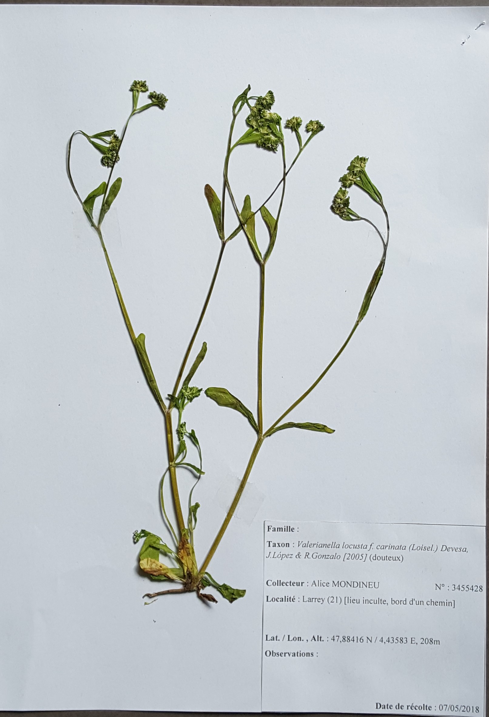 Annexe 20180514_103848.jpg