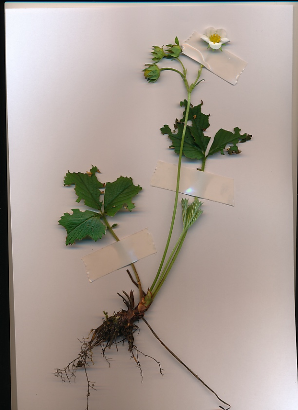 Annexe IMG_20180515_0001.jpg