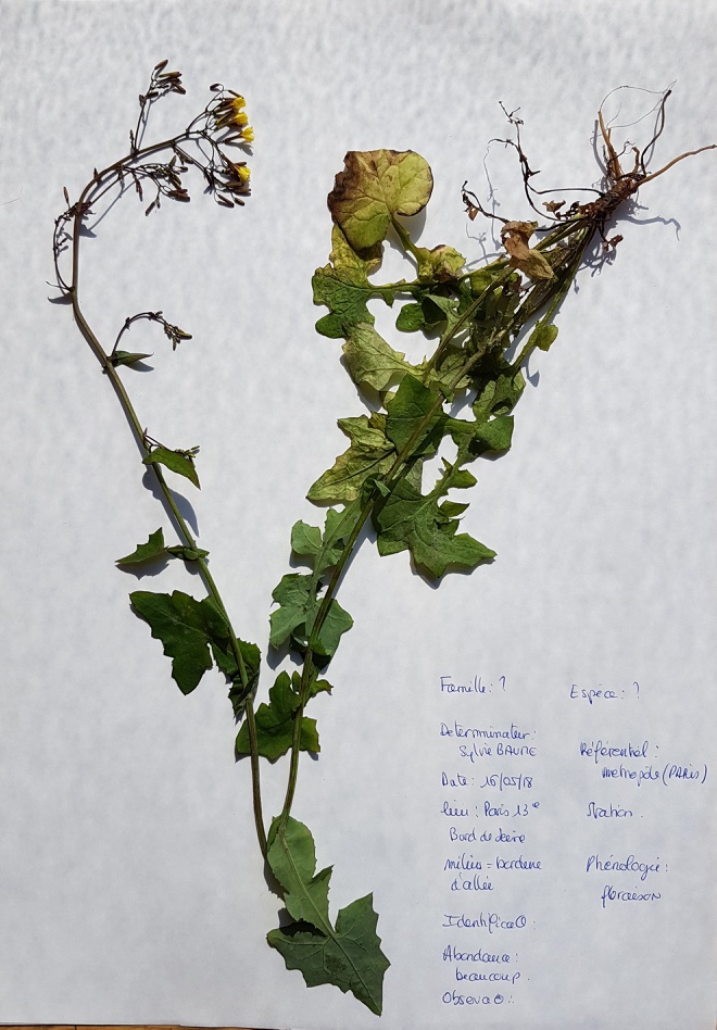 Annexe 2018-05-16_04_55_11.jpg