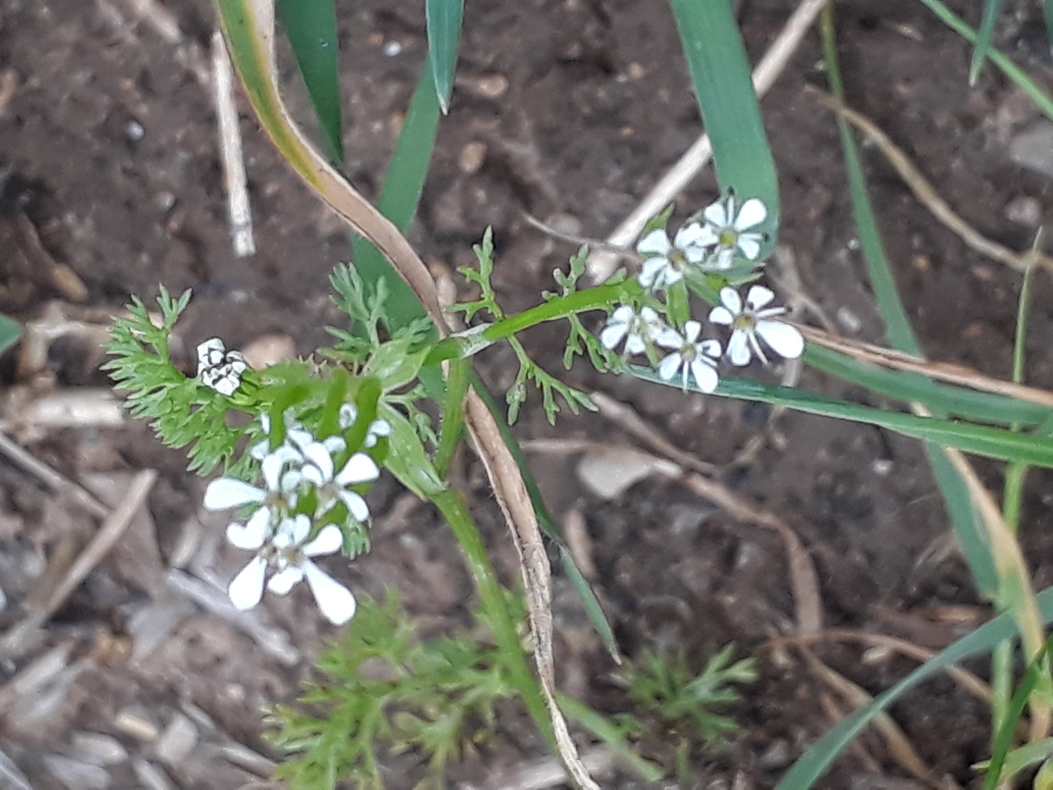 Annexe 20180503_160352_resized.jpg