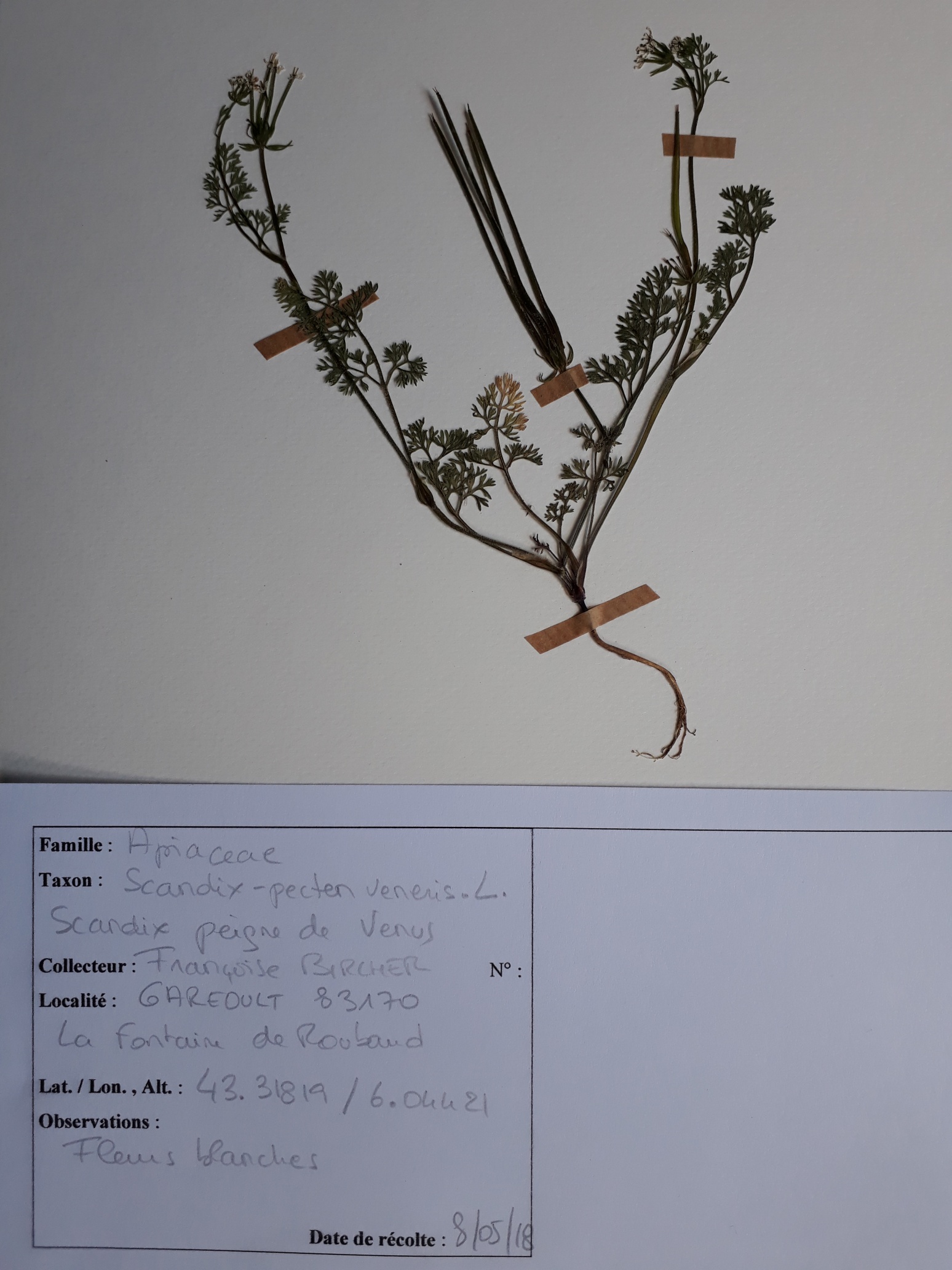 Annexe 20180519_152211_resized.jpg