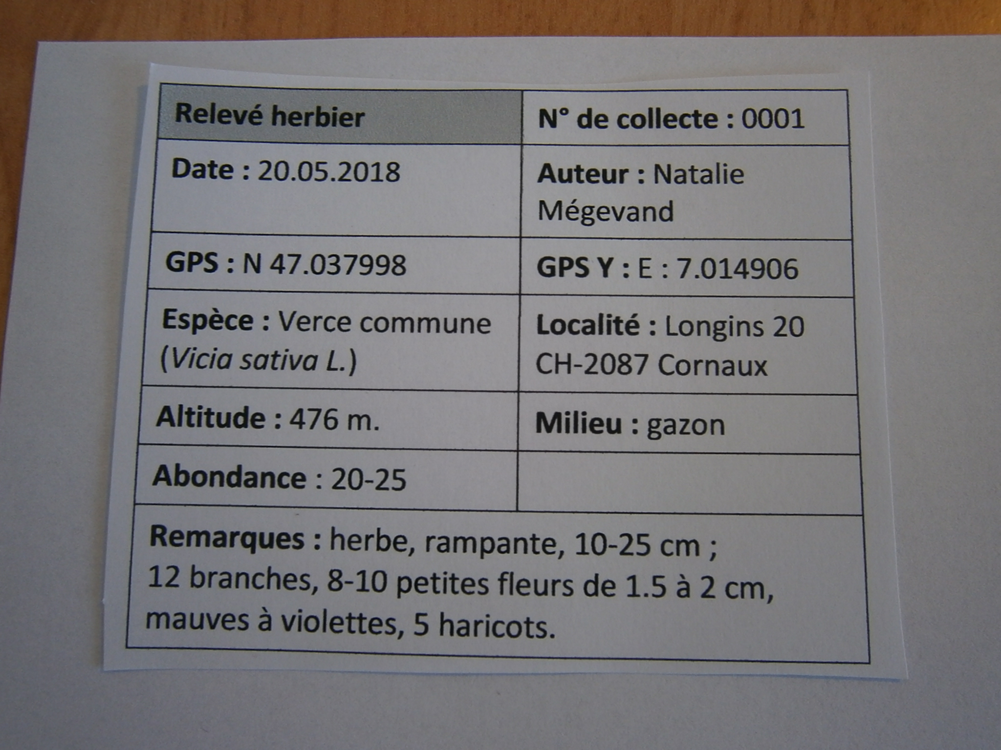 Verce commune_étiquette