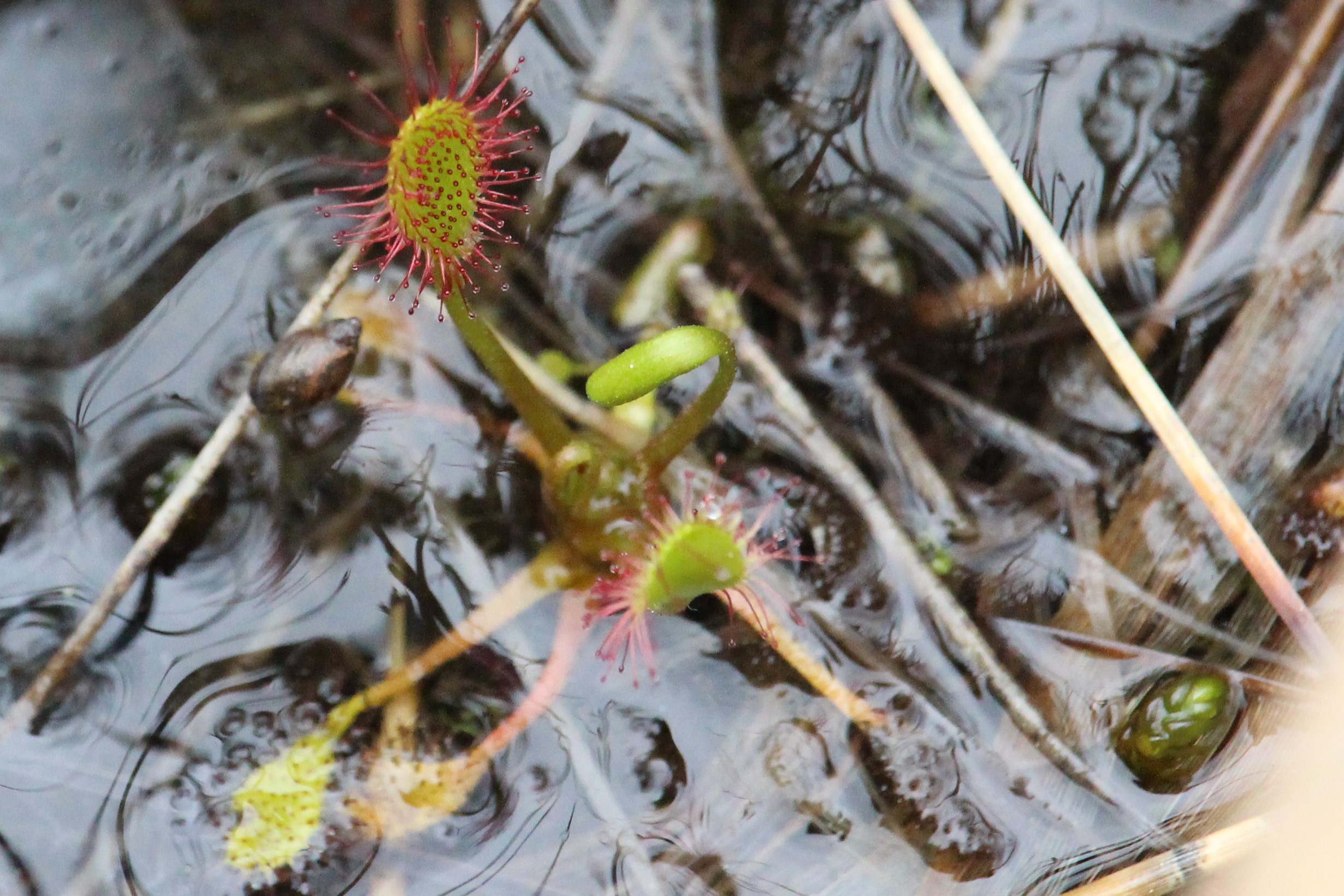 Annexe seq 6 IMG_1878.jpg