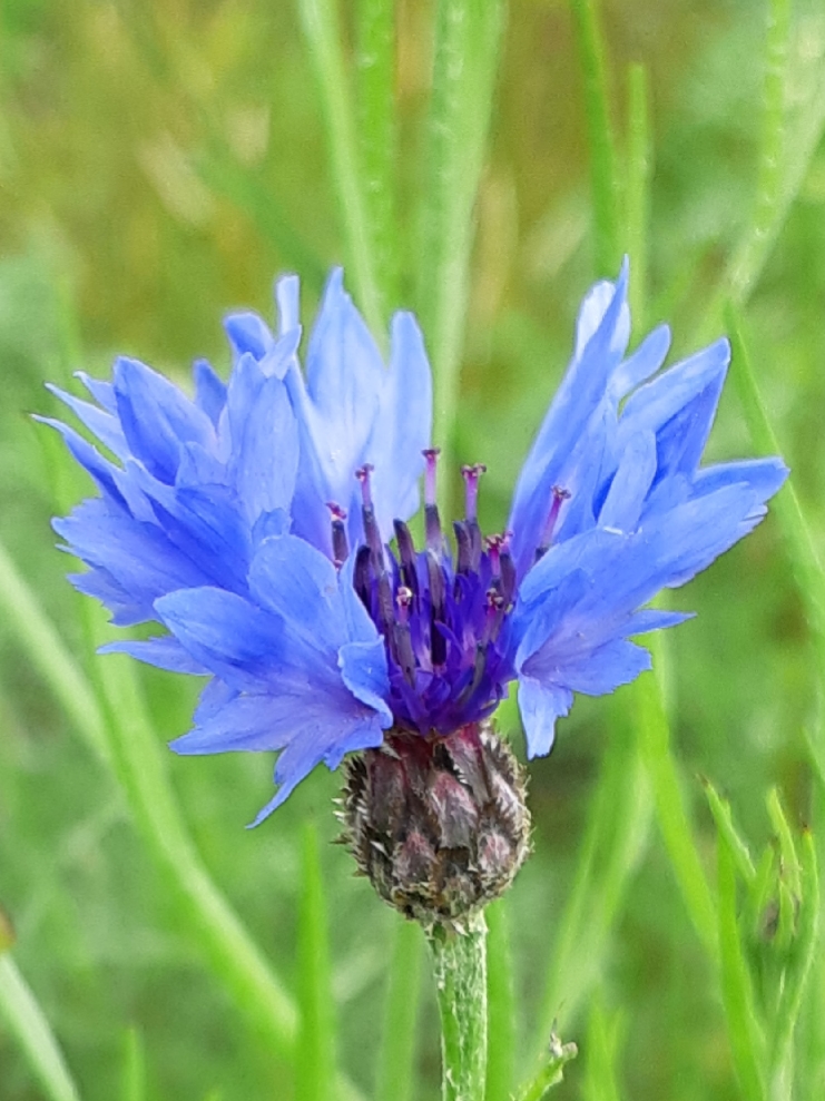 Annexe 20180506_140354.jpg