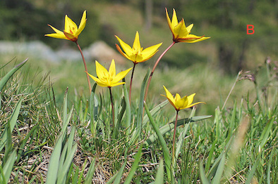 Annexe image.php.jpeg