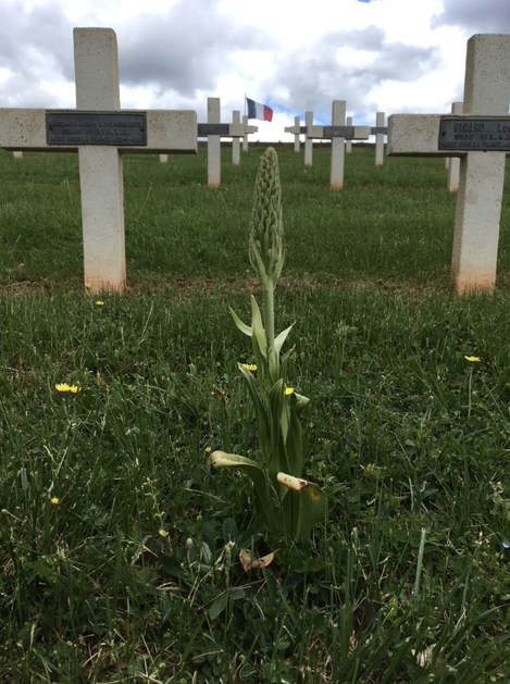 Annexe Capture d’écran 2018-05-18 à 17.37.36.png
