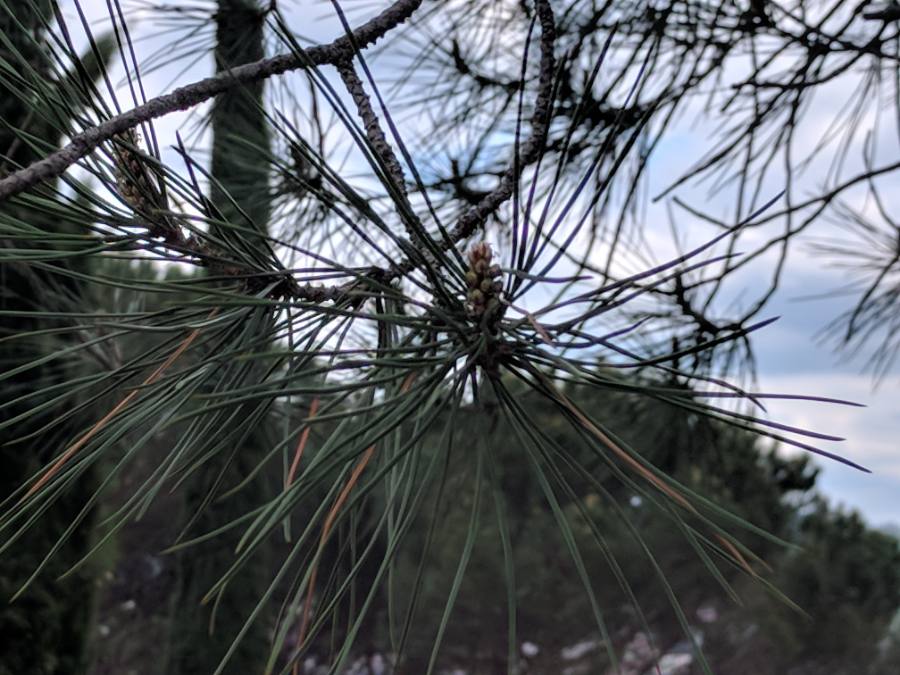 Annexe 20180501-170656.jpg