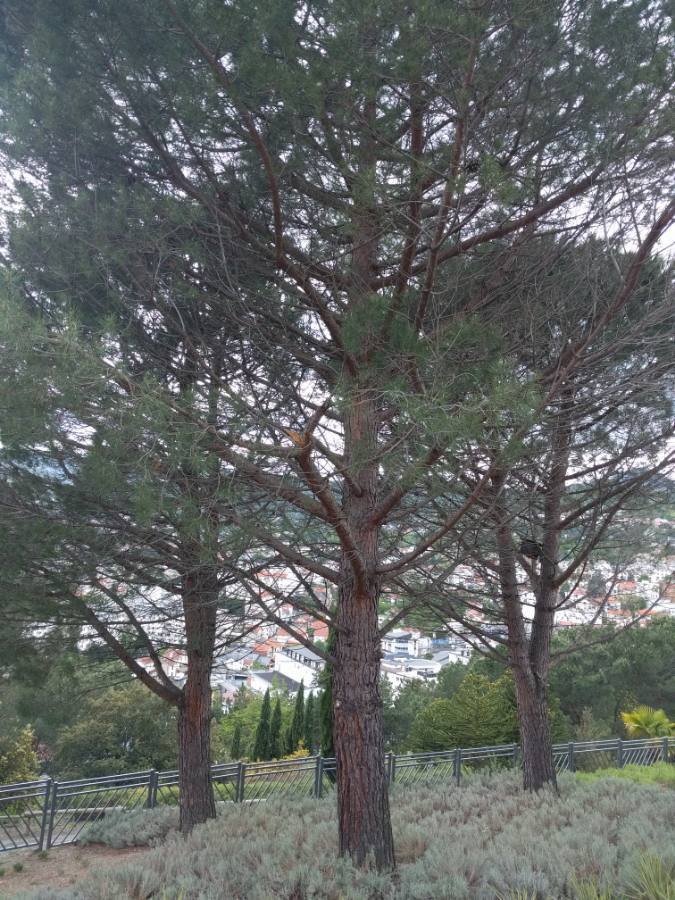 Annexe 20180501-170726.jpg