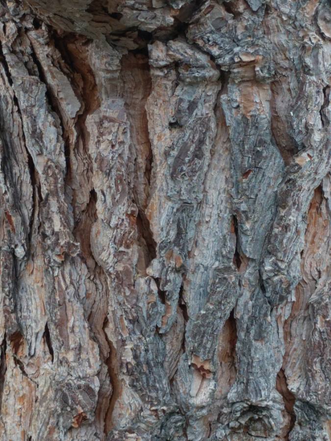 Annexe 20180501-170734.jpg