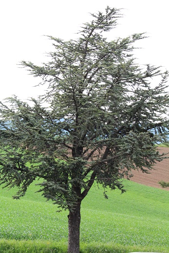 Annexe seq 6 IMG_3359.JPG