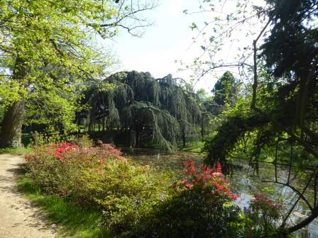 Annexe P1010389 (1).JPG