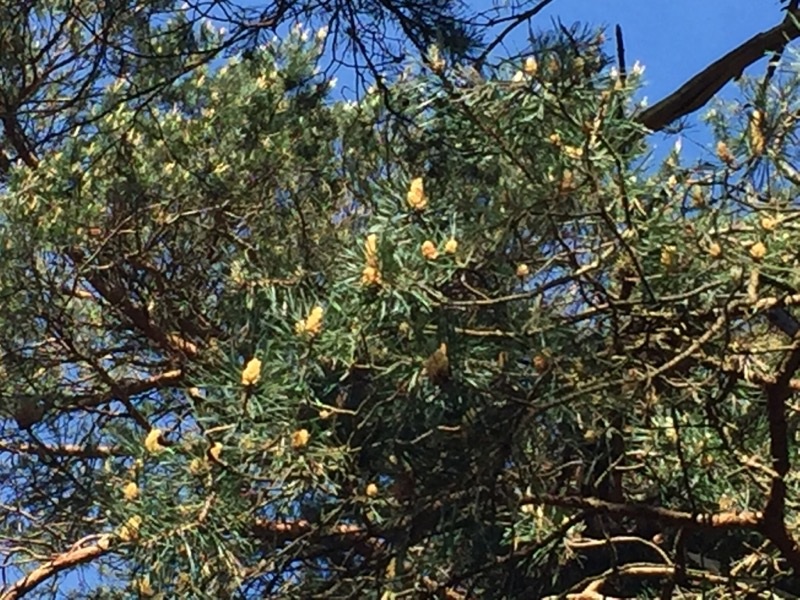 Annexe 6ABE80DC-CE7C-4732-8CF8-576E3767D419.jpeg