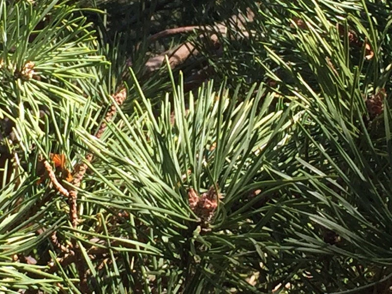 Annexe BF9D342E-C589-4A5A-A735-4F099003429E.jpeg