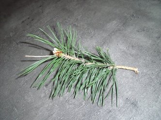 Annexe DSCF7030.jpeg