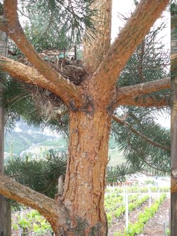 Annexe DSCF7033.jpeg