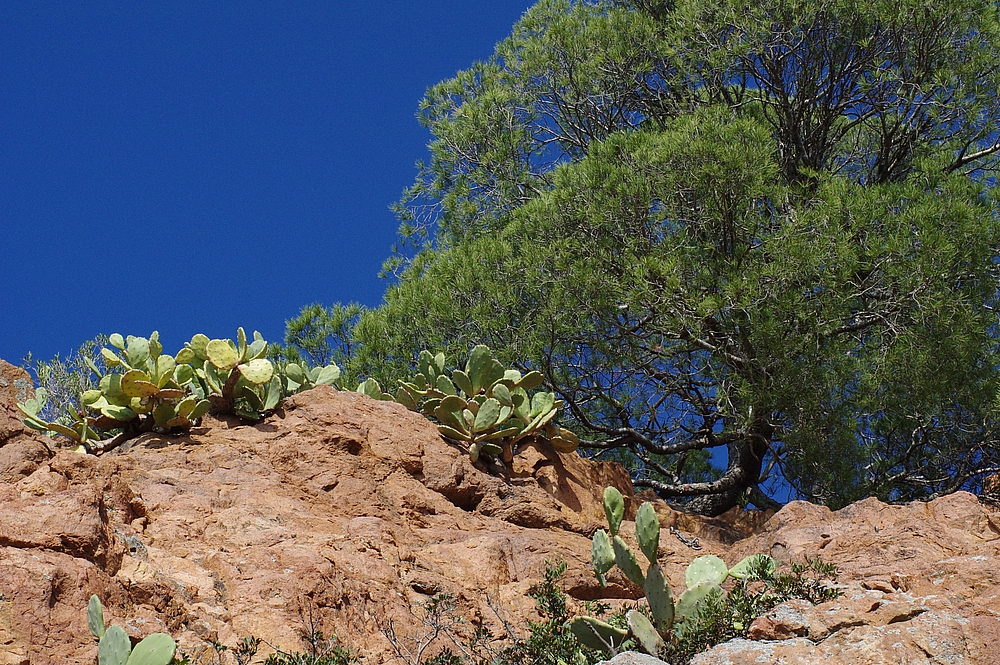 Annexe IMGP1283_2122_20150424-2.jpg