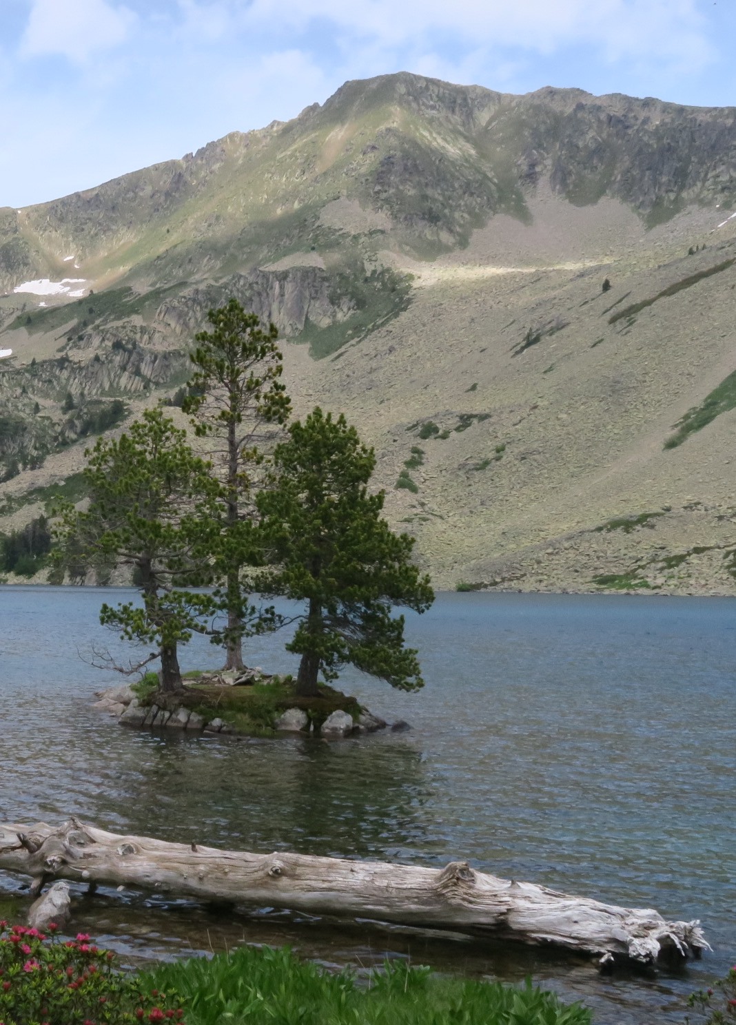 Annexe IMG_1448_rognée.jpg