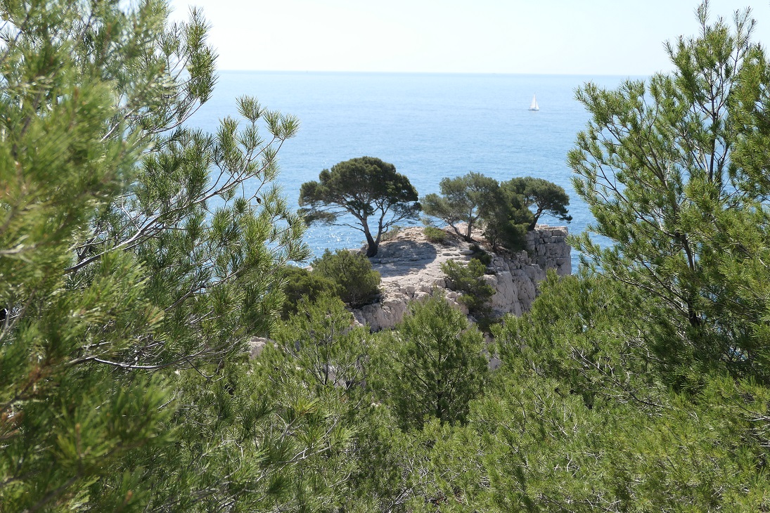 Annexe Pins dAlep.JPG