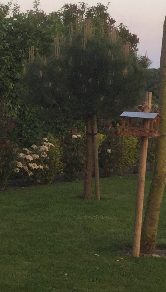 Annexe 4C4443FA-EBC7-46C0-86ED-AF05F734D2A7.jpeg