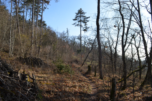 Annexe 160326JF-010.jpg