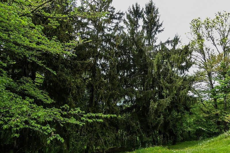 Annexe P1050667 r.jpg