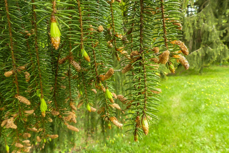 Annexe P1050669 r.jpg