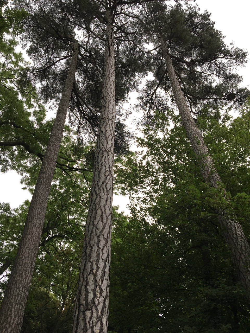 Annexe IMG_2291.jpeg