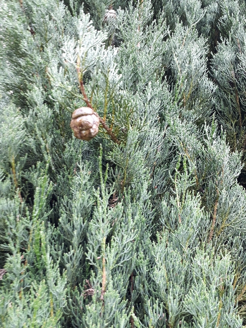 Annexe 20180514_111320_2.jpg