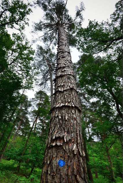 Annexe Capture d’écran 2018-05-18 à 18.57.59.png