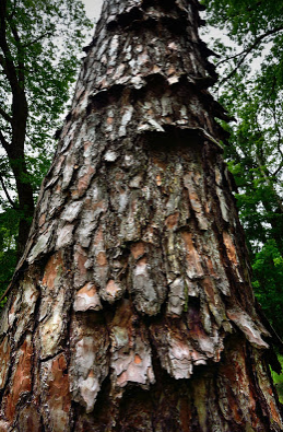 Annexe Capture d’écran 2018-05-18 à 18.58.13.png