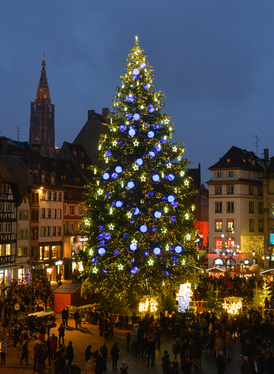 Sapin de Noel à Strasbourg